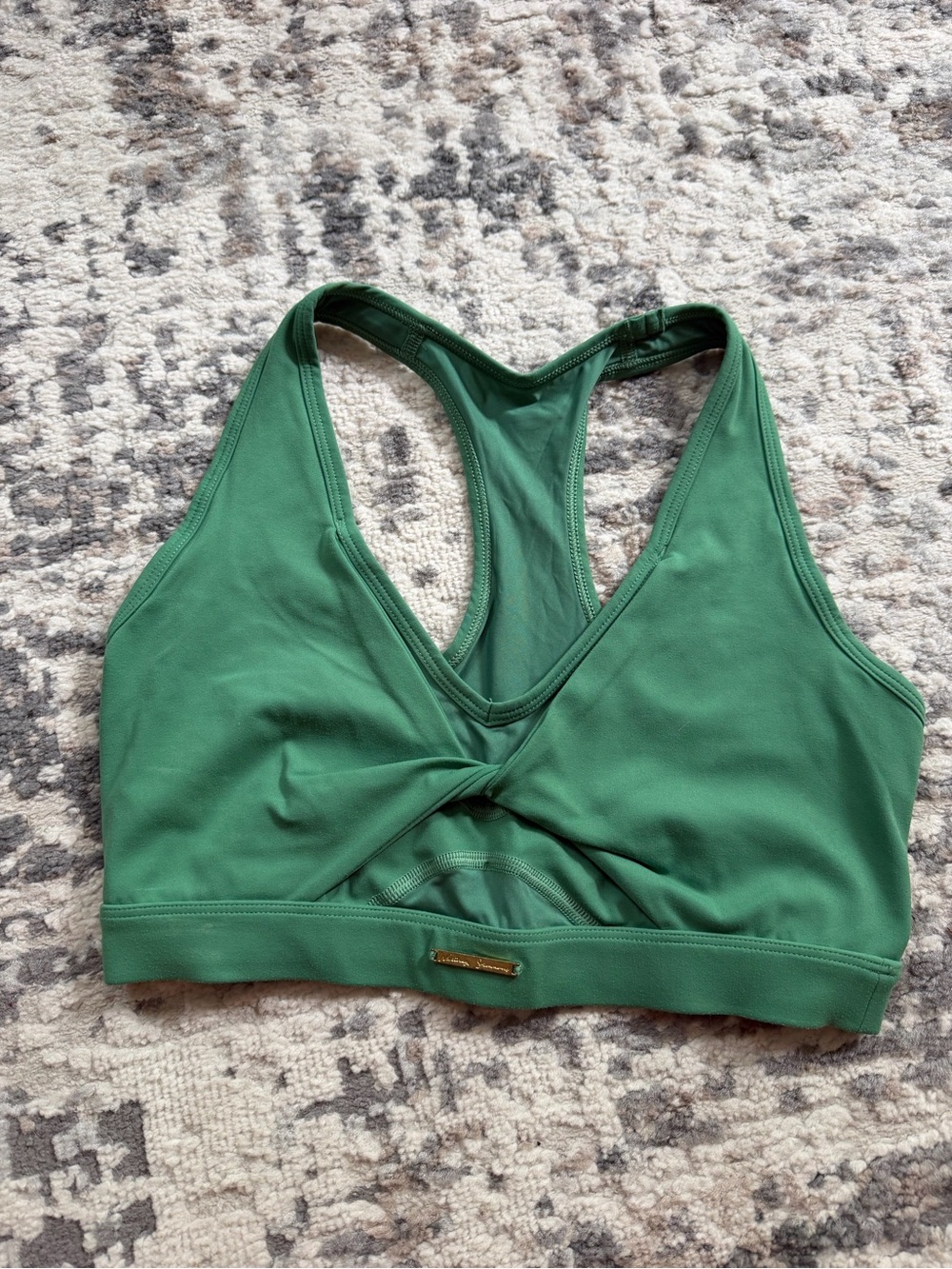 Whitney Simmons gymshark bra